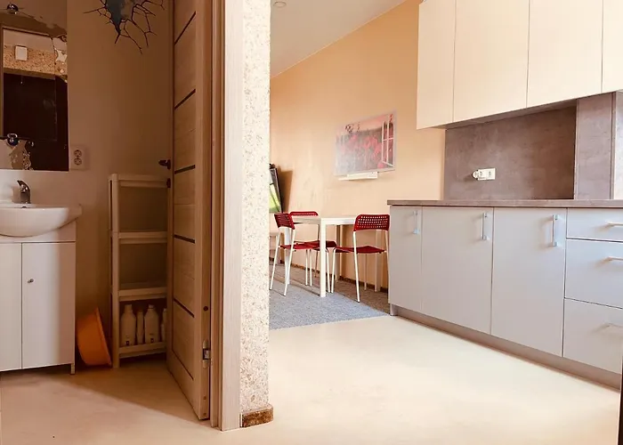 Comfortable Townhouse Apartament Wilno