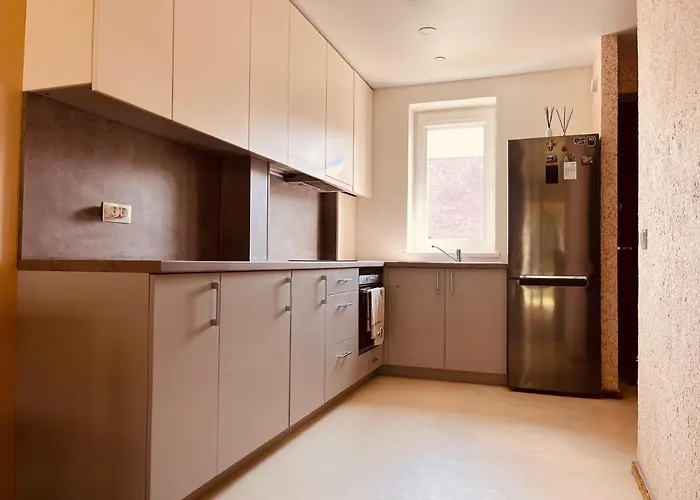 Comfortable Townhouse Вільнюс